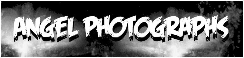 Angel Photograph!