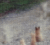 Animal Ghost Pictures