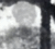 Appariton Ghost Photos