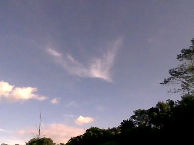 Flying Cloud Angel Picture