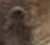 Real Ghost Pictures