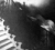 Tulip Staircase Ghost Picture