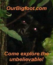 bigfoot