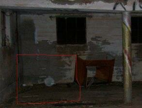 black bear church orb picture photo