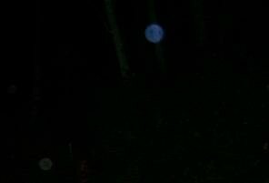 canal fulton orb picture