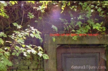 crypt ghost picture