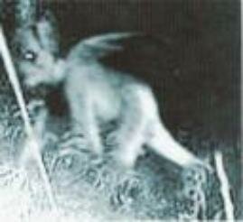 demon pic