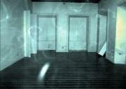 ectoplasm