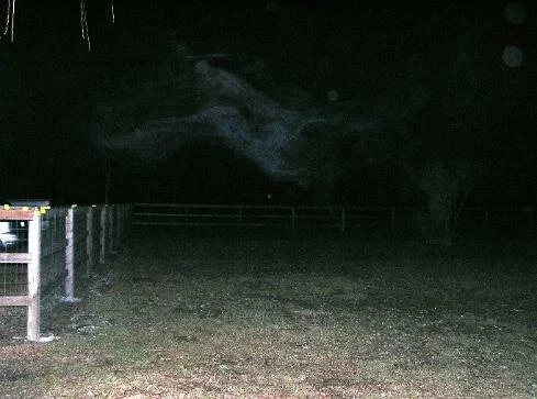 flying spirit ghost picture