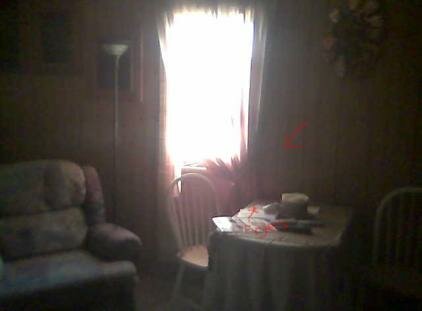 apparition