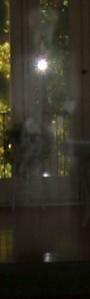 apparition