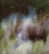 ghost picture of the month