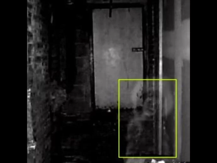 We see a man forming in the basement through this mist-like ectoplasm. From June's Ghost Watcher site.