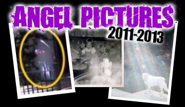 Best Angel Pictures: 2011-2013