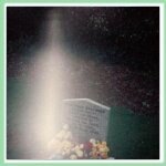Best Angel Pictures: Baby Sean's Angel