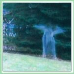 Best Angel Pictures: Motion Sensor Angel Picture