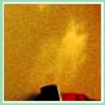 Best Angel Pictures: Angel in the Room?