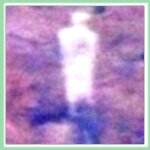 Best Angel Pictures: Sign from an Angel?
