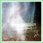 Best Ghost Photos: Man on Bench