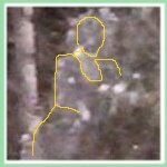 Best Ghost Photos: French Maid Ghost