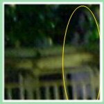 Best Ghost Photos: Lady on a Balcony