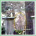 Best Ghost Photos: City Ghost 