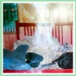 Best Ghost Photos: Murder Scene Ghost