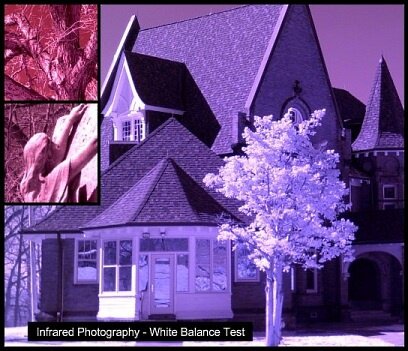 Infrared cameras: White Balance settings - hues