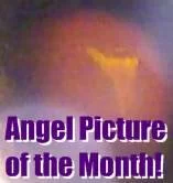 Angel Picture of the Month!