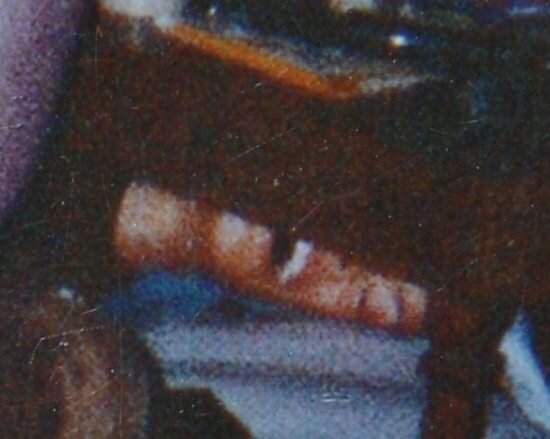 Hidden Head: Is it a hoax?