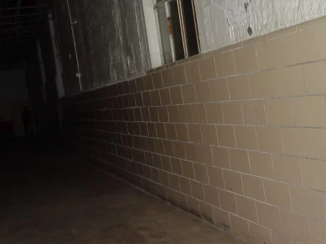 Moundsville Shadow Man Ghost Picture - unedited