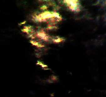 Zoran Angel Picture