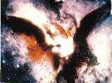 night sky angel picture photo