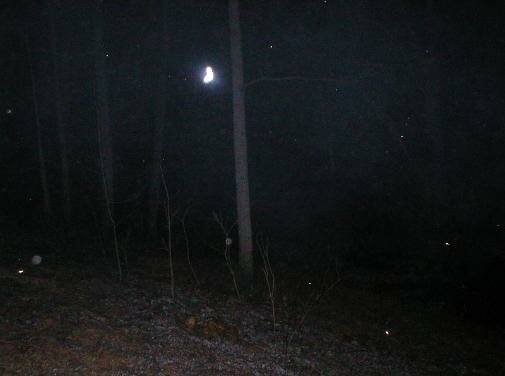 psychic picture