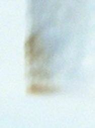 corfu greece ghost