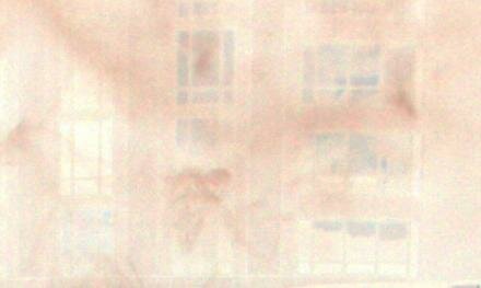 ectoplasm bat