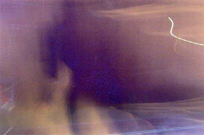 psychic reading horse ghost
