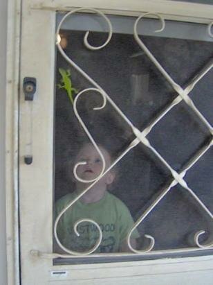 psychic lizard