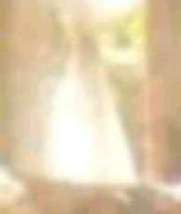 wedding dress ghost picture