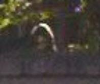 girl behind wall ghost picture