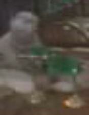 grey lady ghost picture