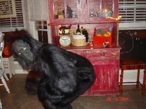 halloween lady ghost picture