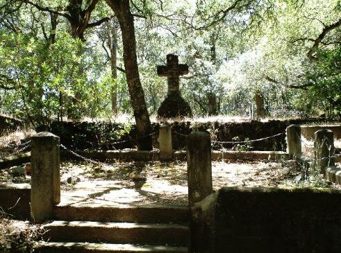 sonoma cross ghost picture
