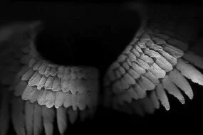 History of Angel Wings
