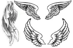 Pictures of Angel Wings