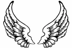Angel Wings Picture #A