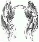 Angel Wings Picture #D