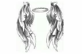 Angel Wings Picture #D
