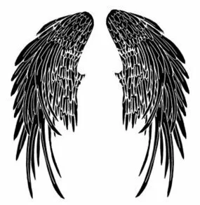 Angel Wings Picture #M