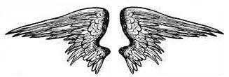 Angel Wings Picture N
